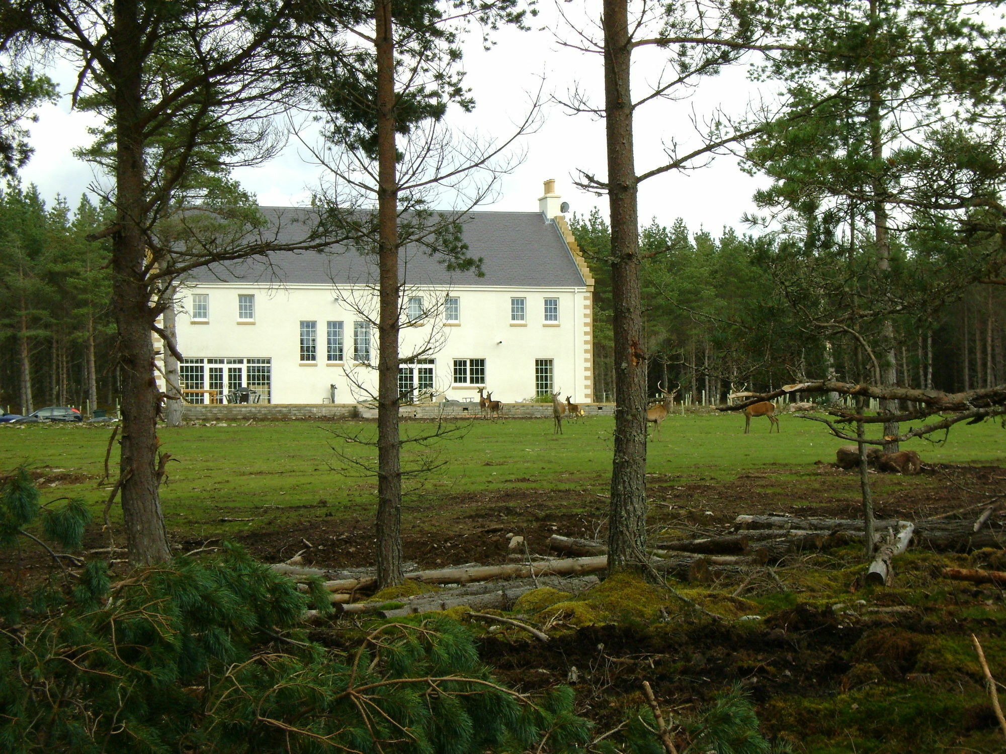Bed and Breakfast Dinichean House Daviot  Exterior foto